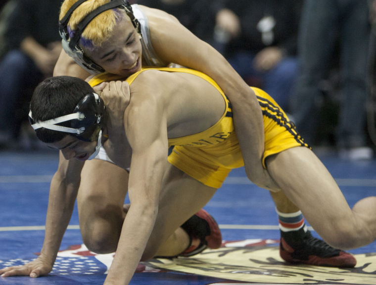 Wrestling: State Championships